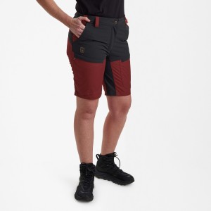 Myśliwskie szorty Lady Ann 3732 Oxblood Red